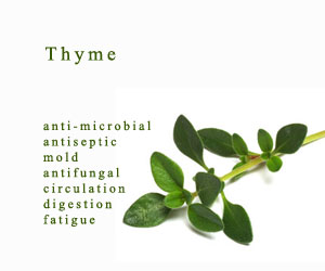 Acne Thyme